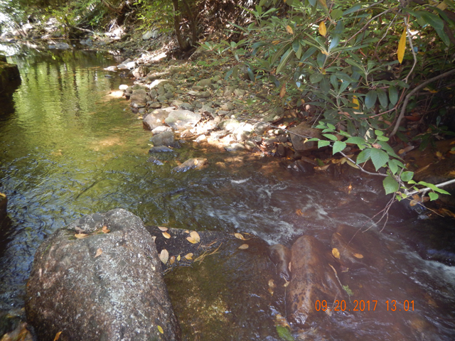 DSCN2693 (1).jpg -                                The last fish came from the run that feeds the long hole.